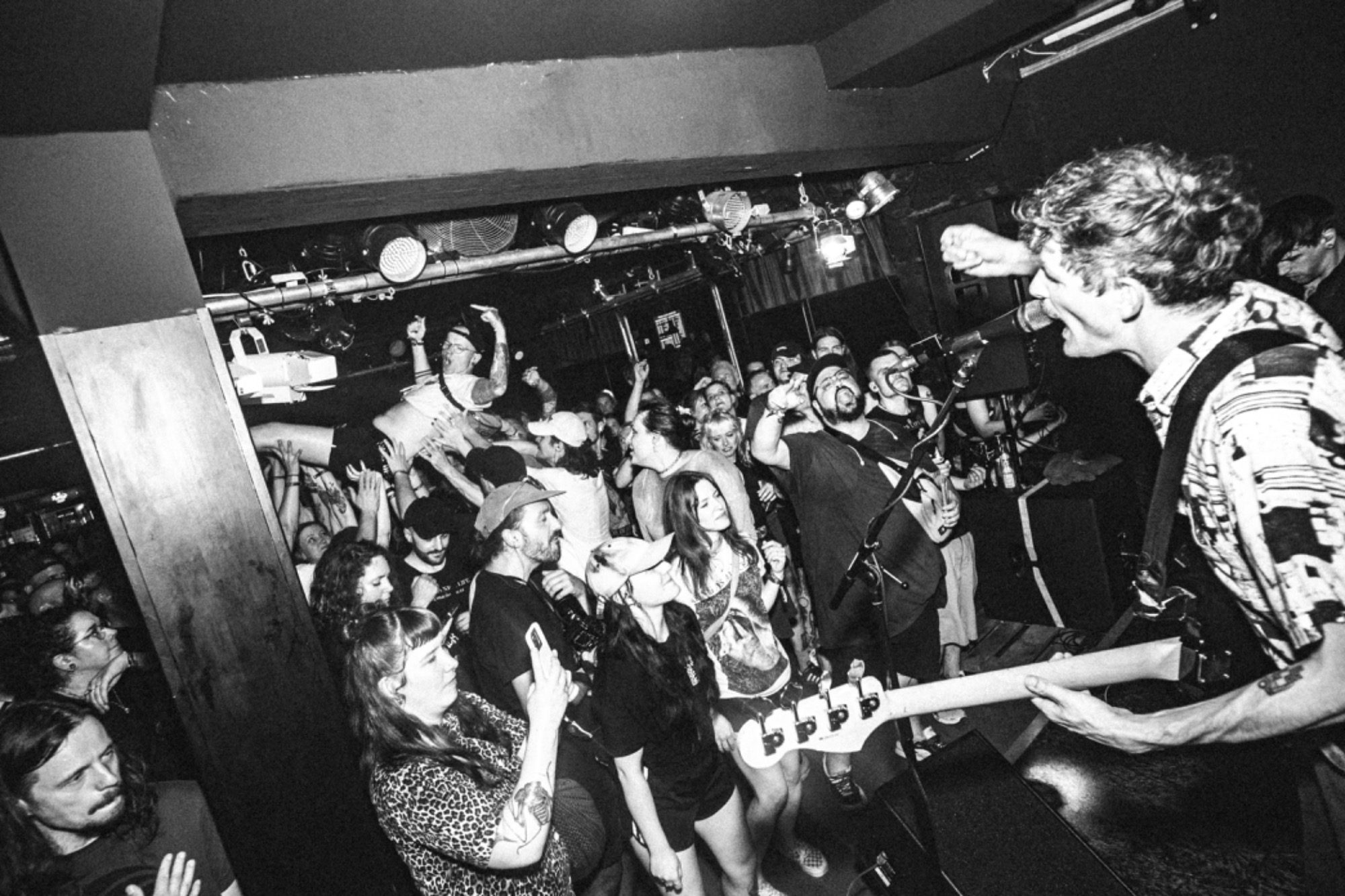 Birds in Row Birds in Row © Dave Mante